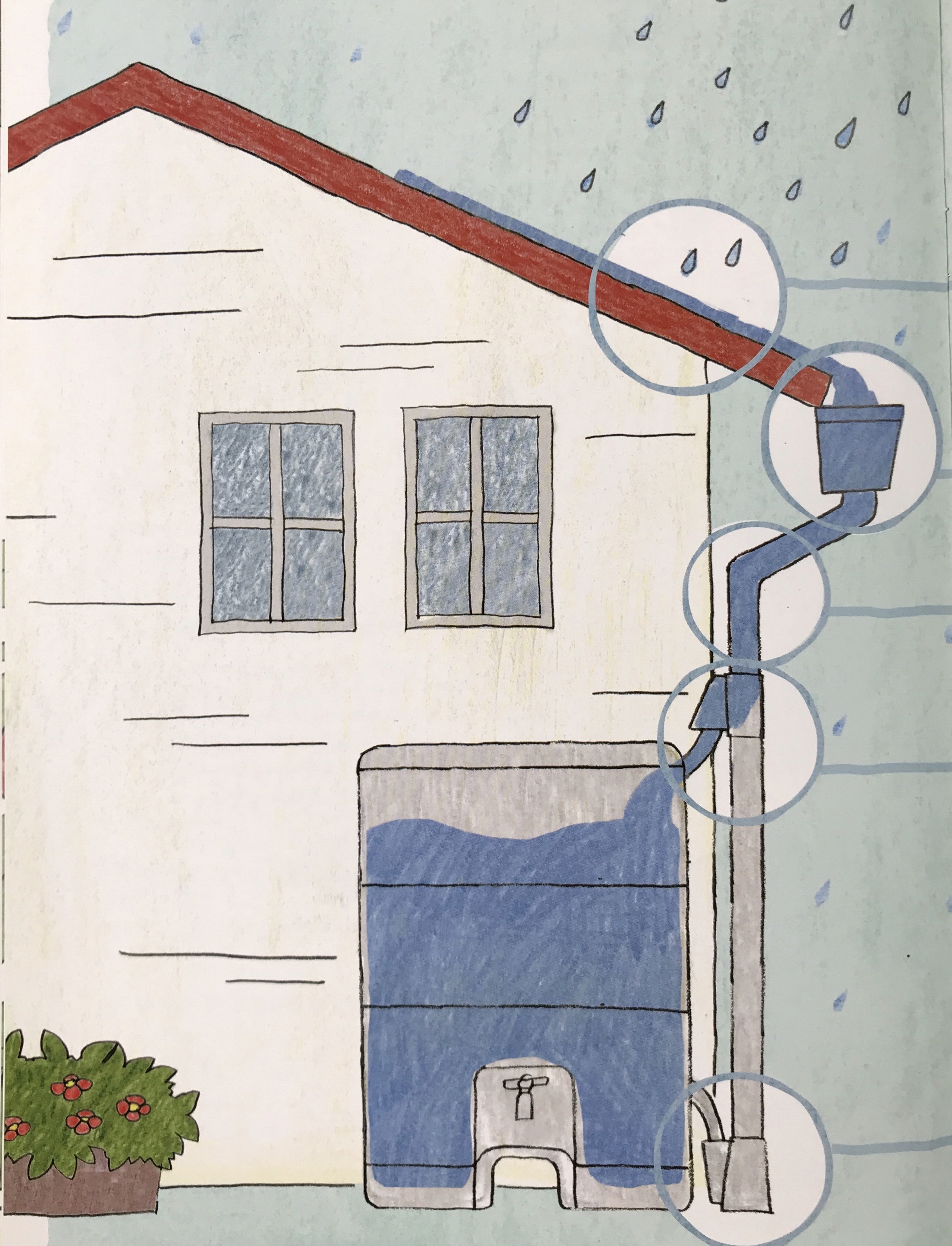 雨水タンクで何ができる 水やり 非常用水 トイレ ゲリラ豪雨時はダムになる